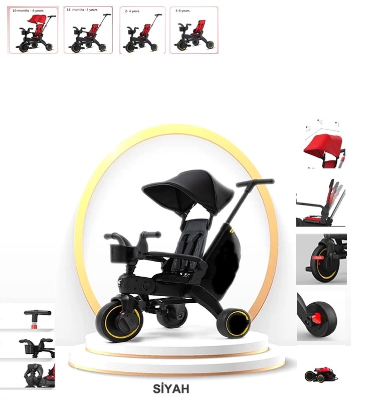 Maxi Taxi Trike Plus F3