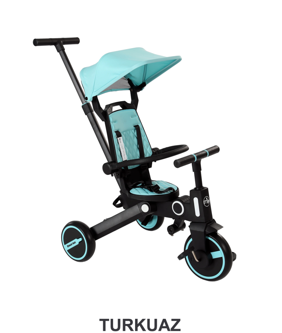 Maxi Taxi Easy Trike